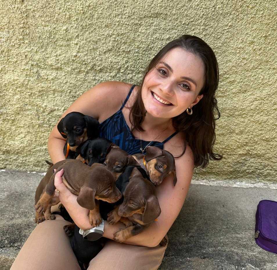 Microchipagem Landing Hero Top Image