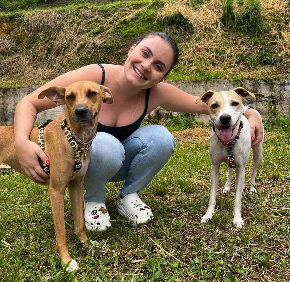 Microchipagem Landing Hero Bottom Image