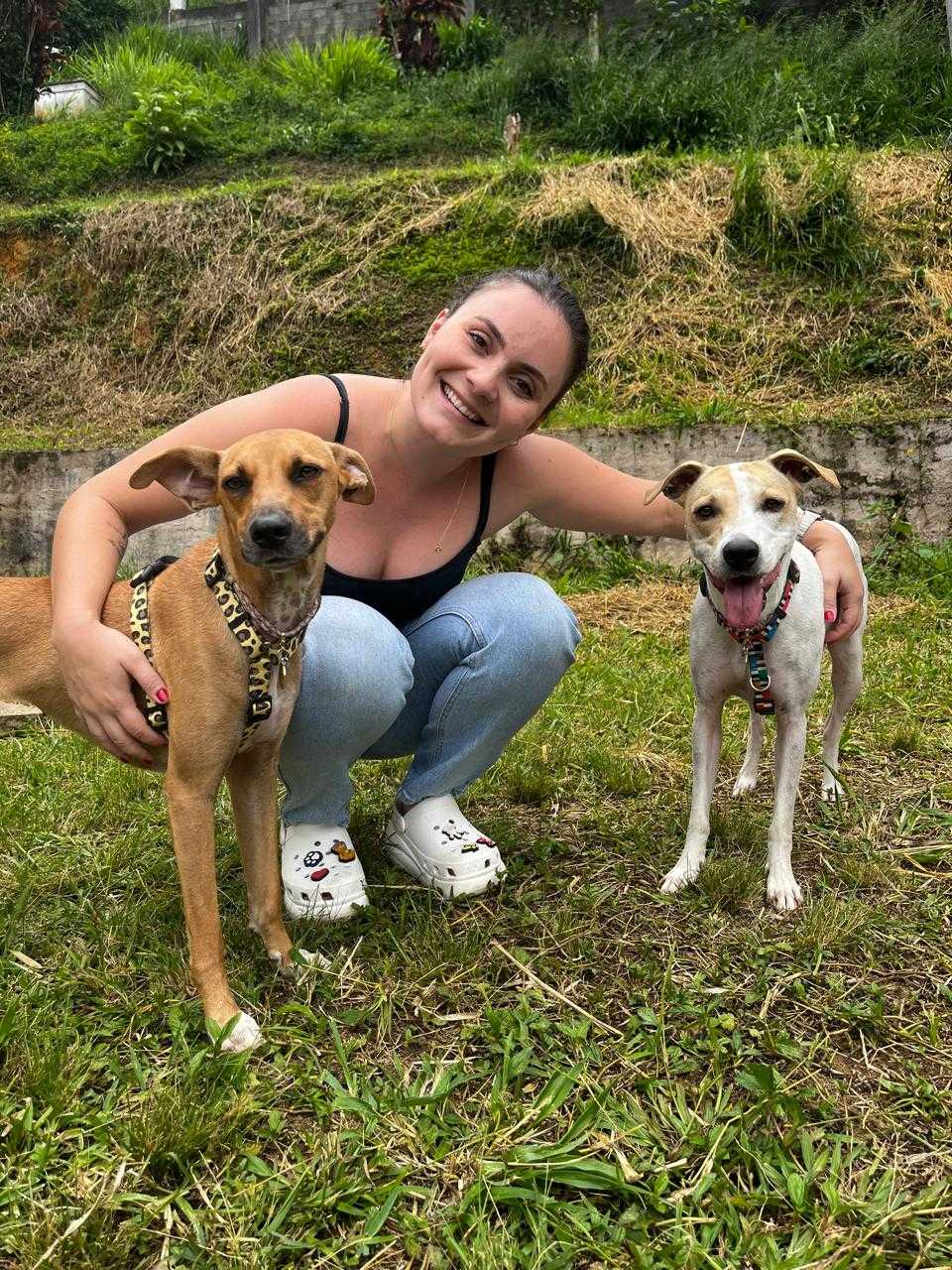 Microchipagem Landing Image